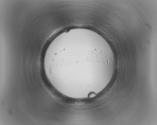 X0000115830256200912111318