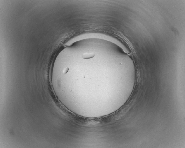 X0000115830257200912111318