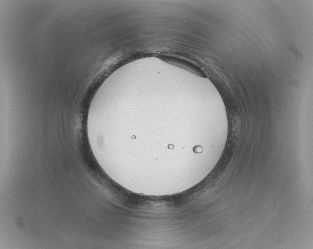 X0000115830260200912111318