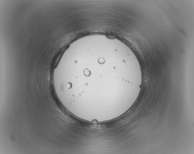 X0000115830261200912111318