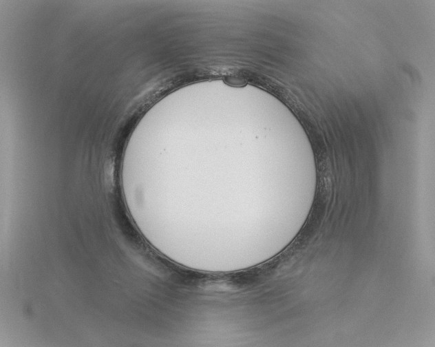 X0000115830262200912111318