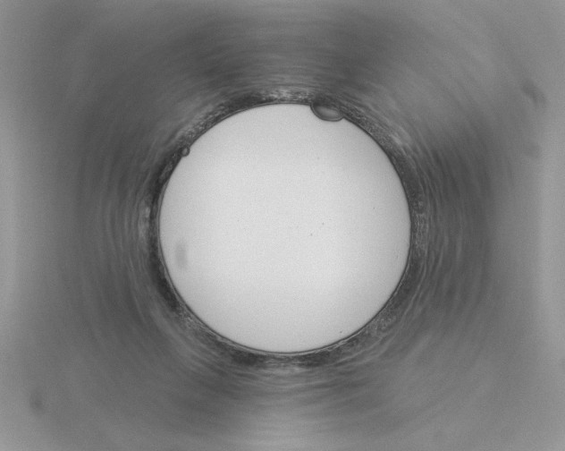 X0000115830263200912111318