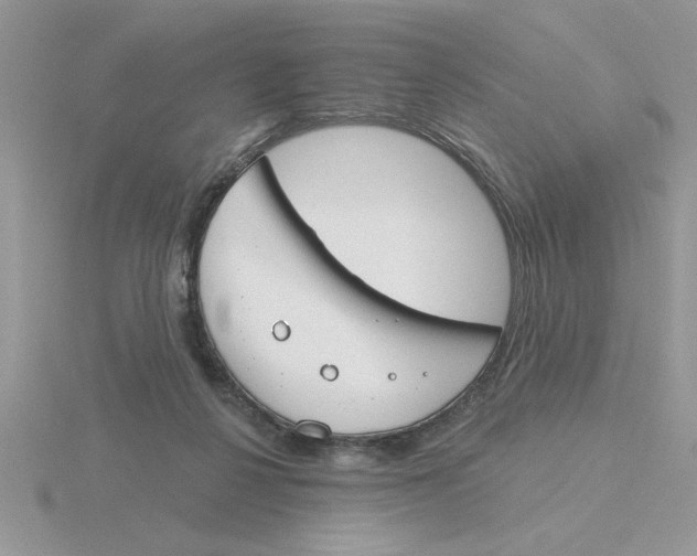 X0000115830264200912111318