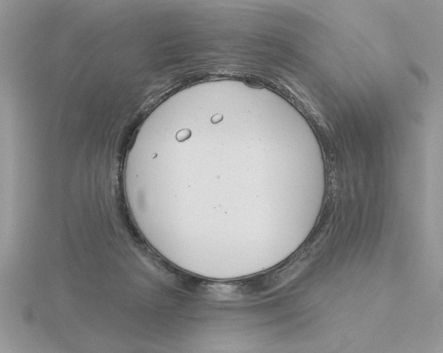 X0000115830265200912111318