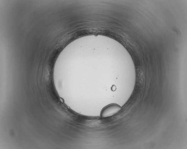 X0000115830266200912111318