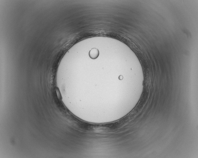 X0000115830268200912111318