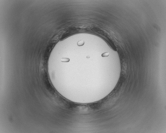 X0000115830272200912111318