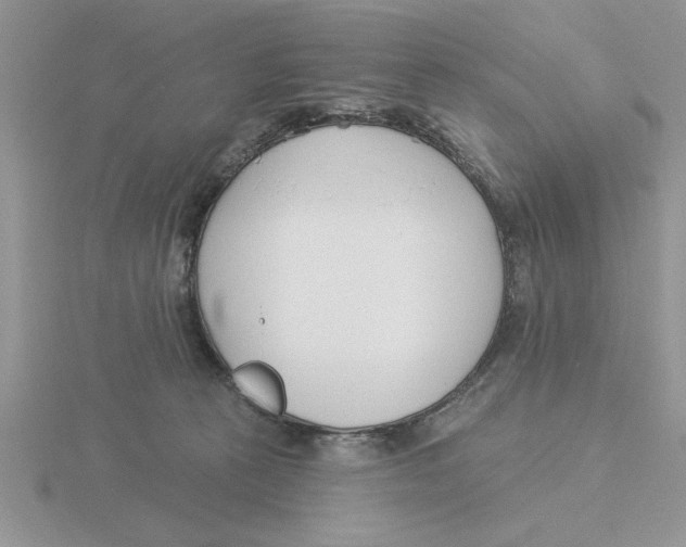 X0000115830273200912111318