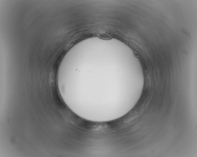 X0000115830274200912111318