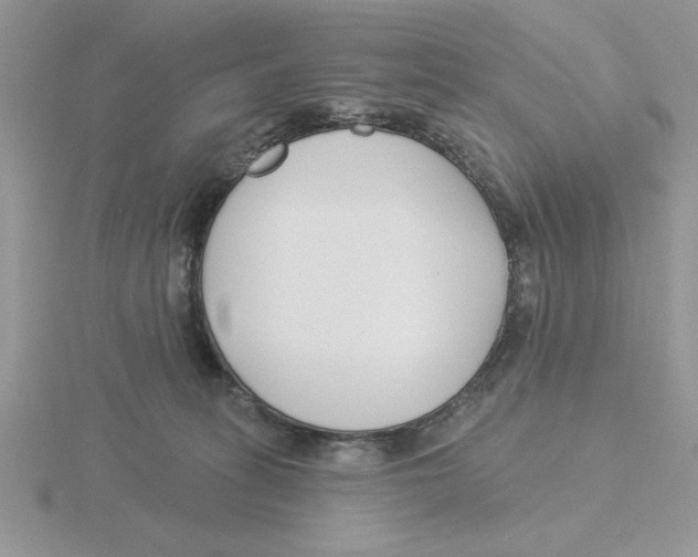 X0000115830275200912111318