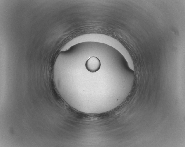 X0000115830276200912111318