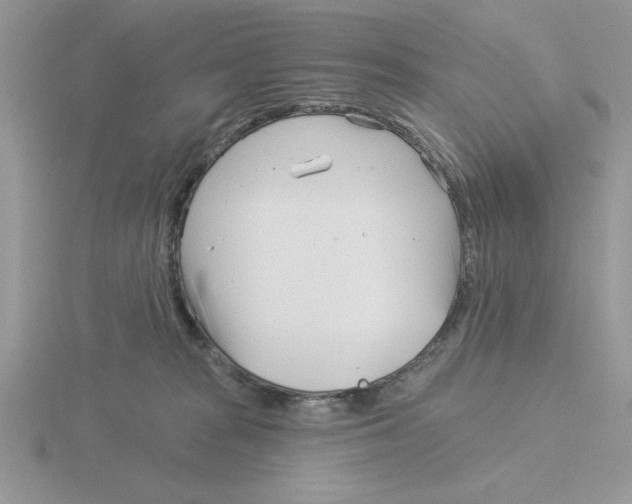 X0000115830277200912111318