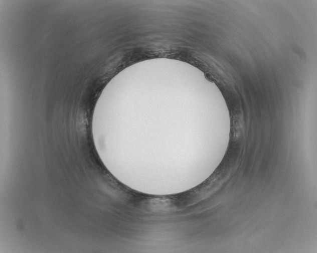 X0000115830279200912111318