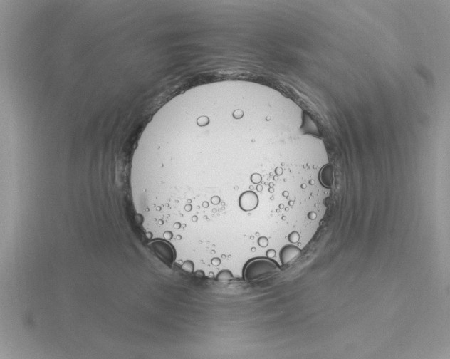 X0000115830281200912111319