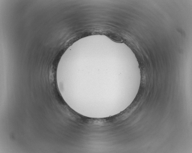 X0000115830282200912111319