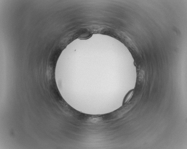 X0000115830283200912111319