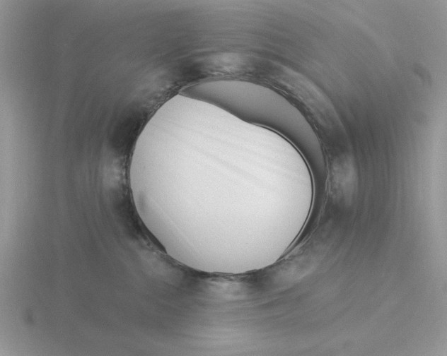 X0000115830284200912111319