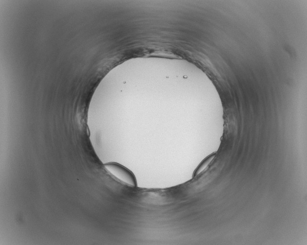 X0000115830285200912111319