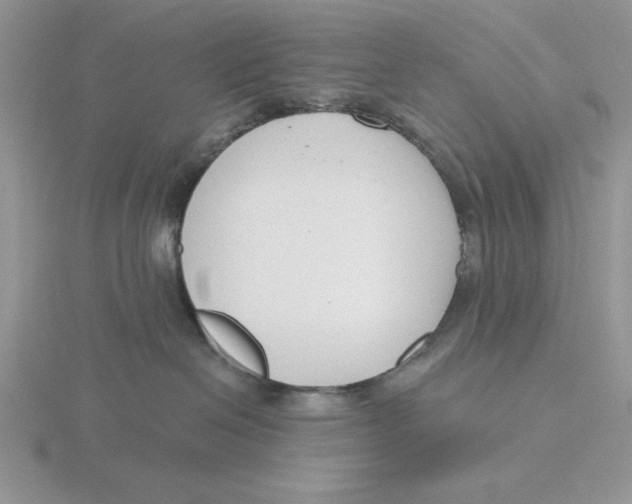 X0000115830286200912111319