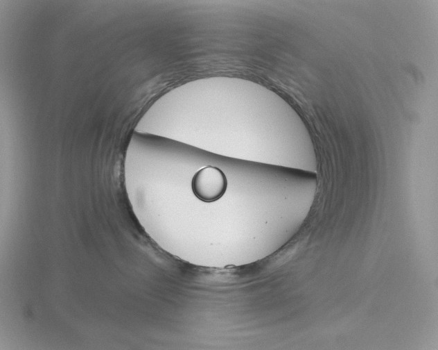 X0000115830288200912111319