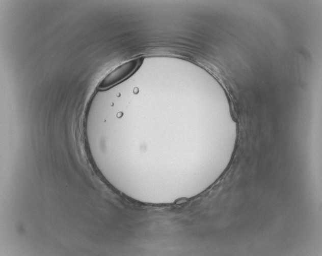 X0000115830289200912111318