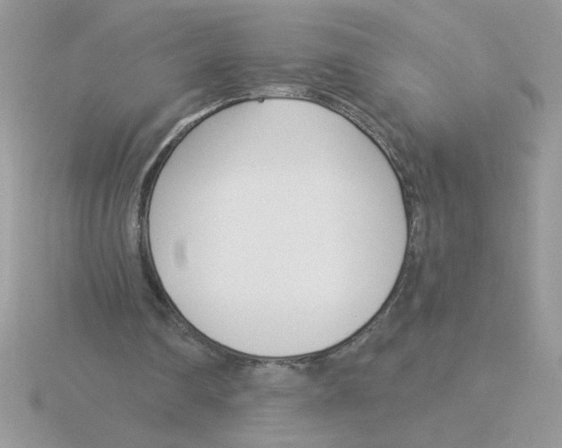 X0000115830290200912111318