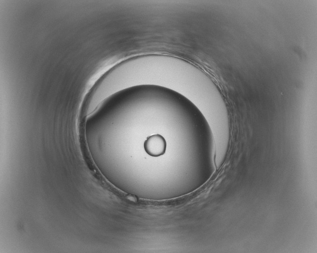 X0000115830292200912111318