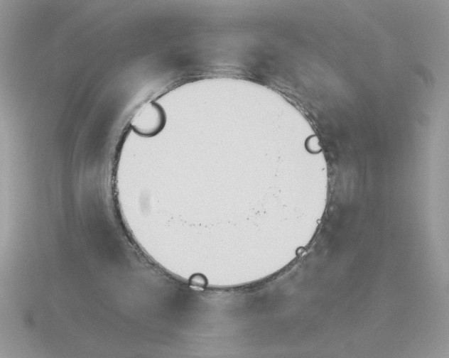 X0000115830293200912111318