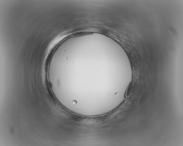 X0000115830294200912111318