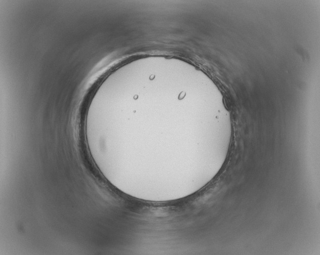 X0000115830295200912111318