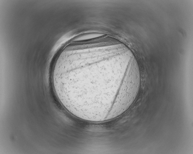 X0000115830296200912111318