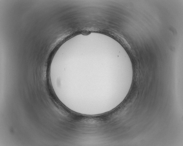 X0000115830299200912111318