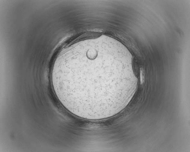 X0000115830300200912111318