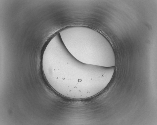 X0000115830301200912111318