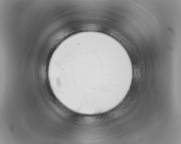 X0000115830302200912111318