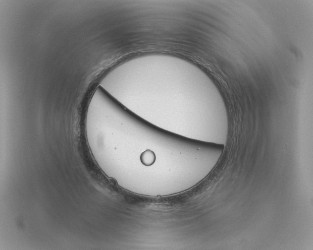 X0000115830303200912111318