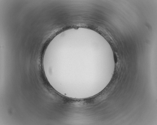 X0000115830306200912111318