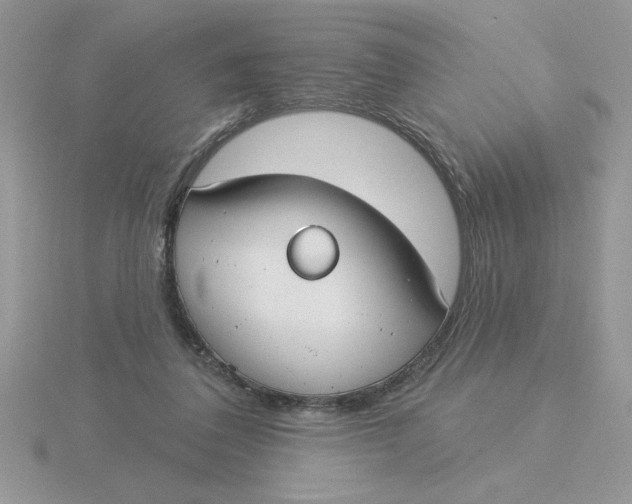 X0000115830308200912111318