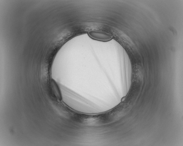 X0000115830312200912111318