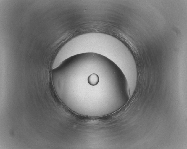 X0000115830313200912111318