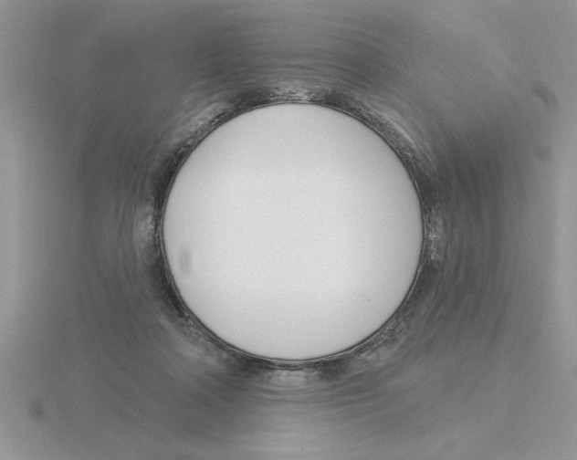 X0000115830314200912111317