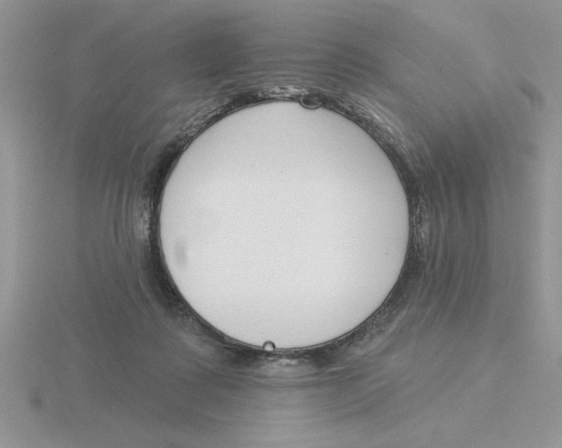 X0000115830315200912111317