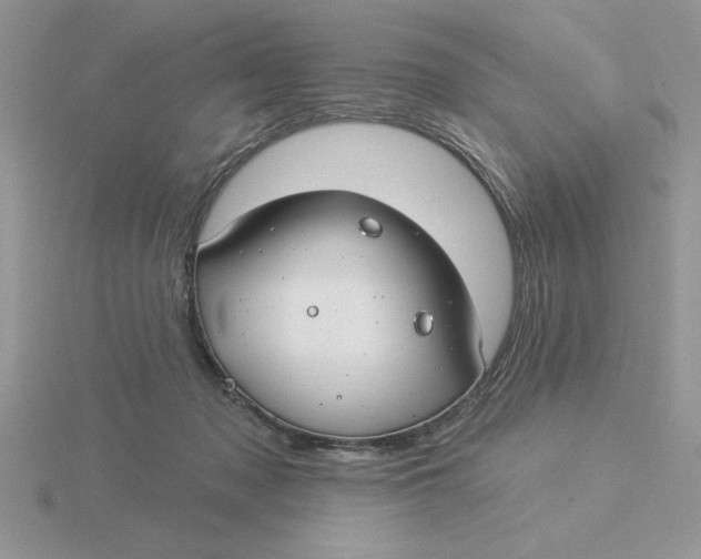 X0000115830317200912111317