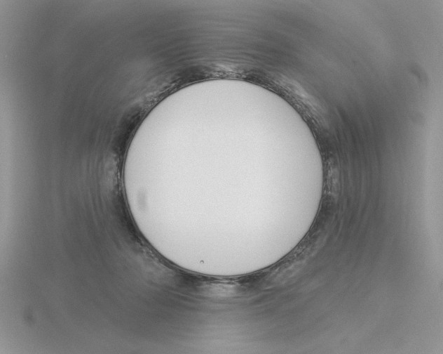 X0000115830318200912111317