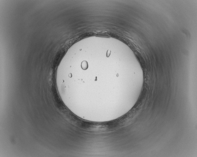 X0000115830319200912111317