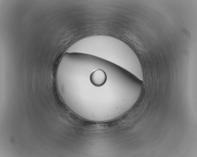 X0000115830320200912111317