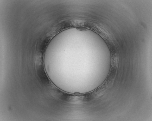 X0000115830323200912111317