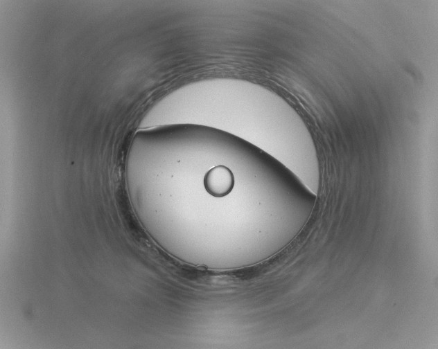 X0000115830324200912111317