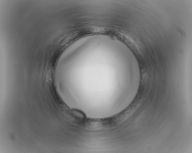 X0000115830325200912111317