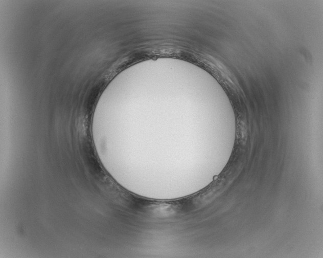 X0000115830326200912111317